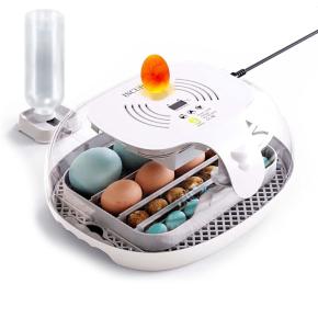 Инкубатор HHD 16 Wonegg мини автоматический с овоскопом на 16 яиц