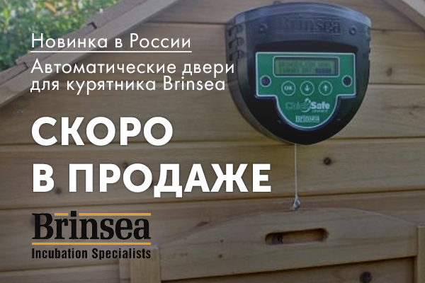 Автоматические открыватели дверей курятника ChickSafe