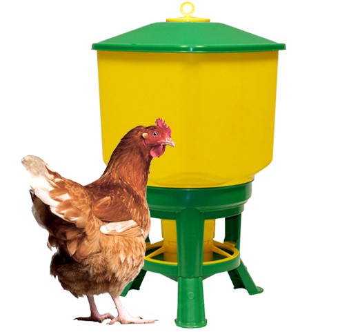 Кормушки и поилки для птиц