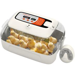 Хетчер Rcom KingSuro MAX Brooder для птиц 