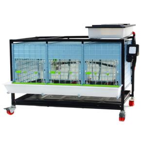 Брудер для цыплят CB40 3 секции, 91x64x49 см, пластиковый