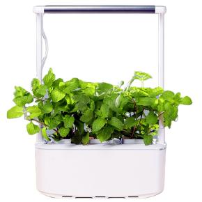 Гидропонная установка HobbyFarm Mini DQ6200-LA, домашний умный смарт сад, 3 ячейки, с фитолампой