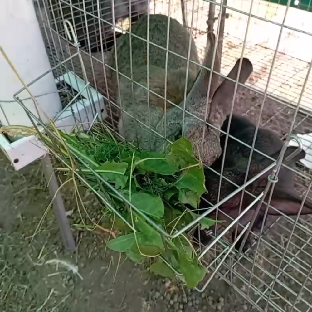 Кормушка для сена, вертикальная загрузка 20 см, комплект 5 шт.