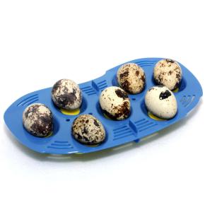 Лоток на 7 маленьких яиц для инкубатора Rcom MINI
