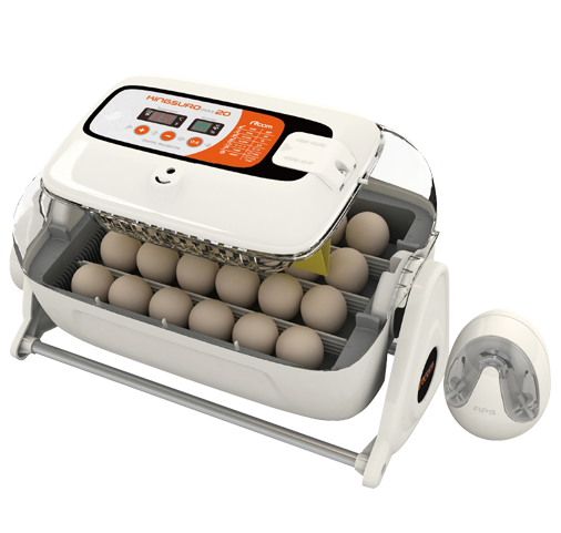 Корейские инкубаторы RCOM