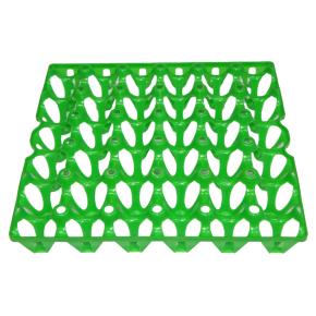 Лоток для куриных яиц зеленый