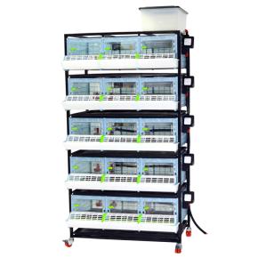 Брудер для цыплят CB25 3 секции, 5 ярусов, 98x60x196 см, пластиковый