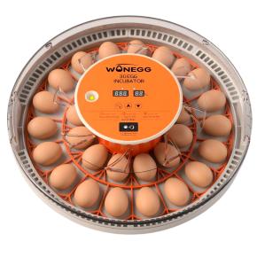 Инкубатор HHD 30H WONEGG автоматический с овоскопом на 30 яиц