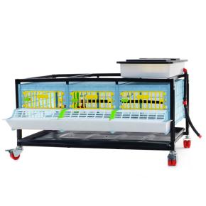 Клетка Comfortplast для перепелов без яйцесборника 3 секции, 1 ярус, 98x60x59 см, пластиковая