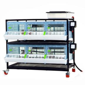 Брудер для цыплят CB25 3 секции, 2 яруса, пластиковый