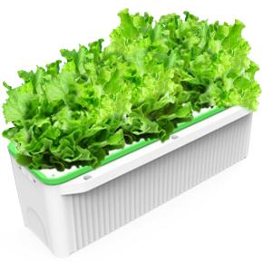 Гидропонная установка HobbyFarm DQ61008, домашний умный смарт сад, 8 ячеек