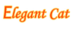 Elegant Cat