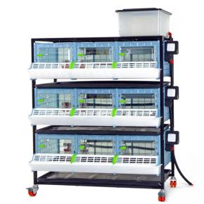 Брудер для цыплят CB25 3 секции, 3 яруса, пластиковый