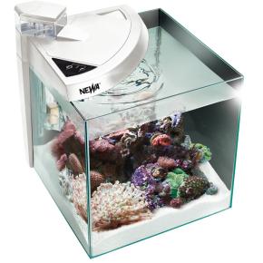 Аквариум Newa More reef NMO 50RW Daylight LED, 45 л, с фильтром, скиммером, нагревателем и освещением рассвет-закат, белый NEW VERSION