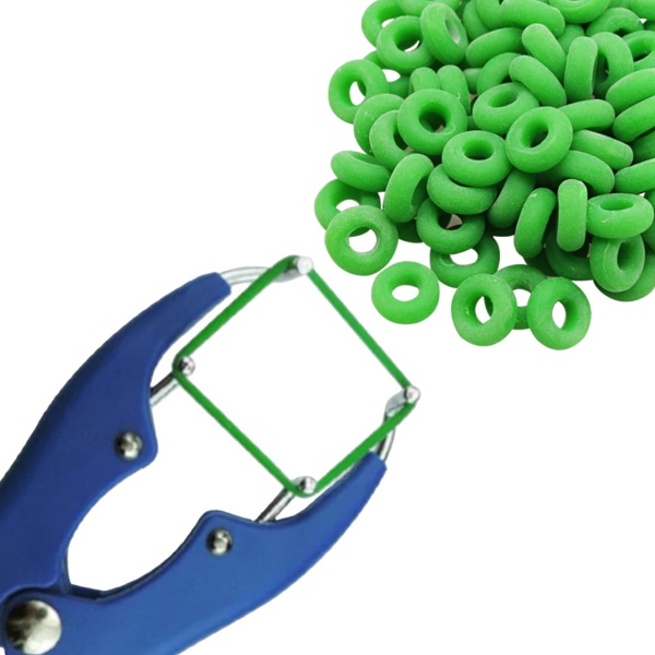 Кольца резиновые для кастрации, комплект 100 шт.