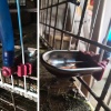 Поилка для кроликов Logis чашечная автоматическая вертикальный подвод