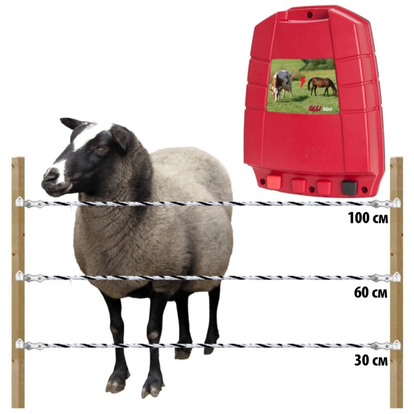 Комплект электропастуха Olli для овец 220В на 1000 м