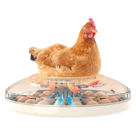 Инкубатор HHD 30H WONEGG автоматический с овоскопом на 30 яиц
