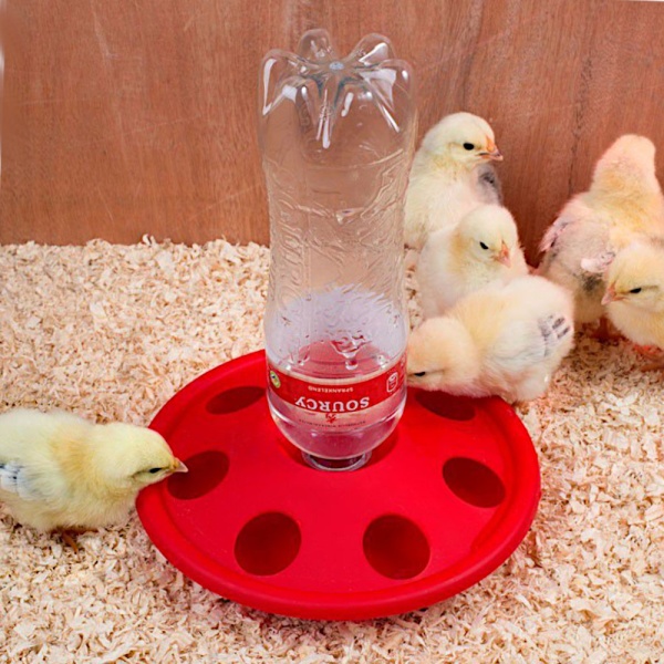 Поилка под бутылку напольная с отверстиями /7 ячеек пластик