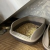Лоток для кошек с совком Catidea 46х36х15 см, коричневый