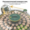 Инкубатор HHD 52H WONEGG автоматический 220В/12В от сети и аккумулятора, с овоскопом на 52 яйца​