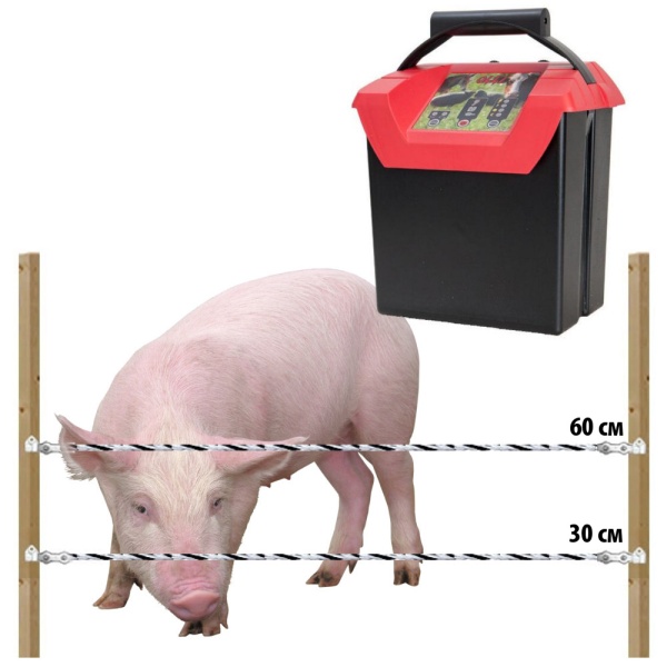 Комплект электропастуха Olli для свиней 9В/12В на 500 м