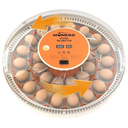 Инкубатор HHD 30H WONEGG автоматический с овоскопом на 30 яиц