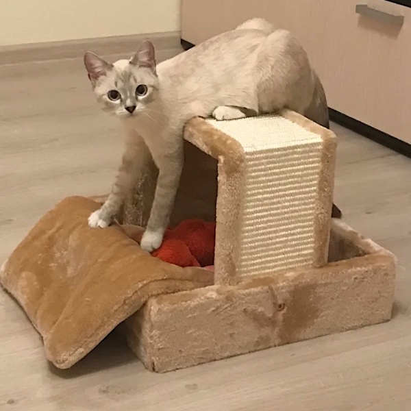 Когтеточка-лежак 40х40х23 см с игрушкой, бежевый