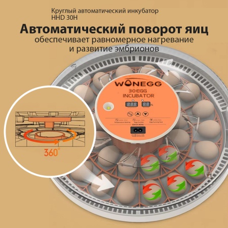 Инкубатор HHD 30H WONEGG автоматический с овоскопом на 30 яиц
