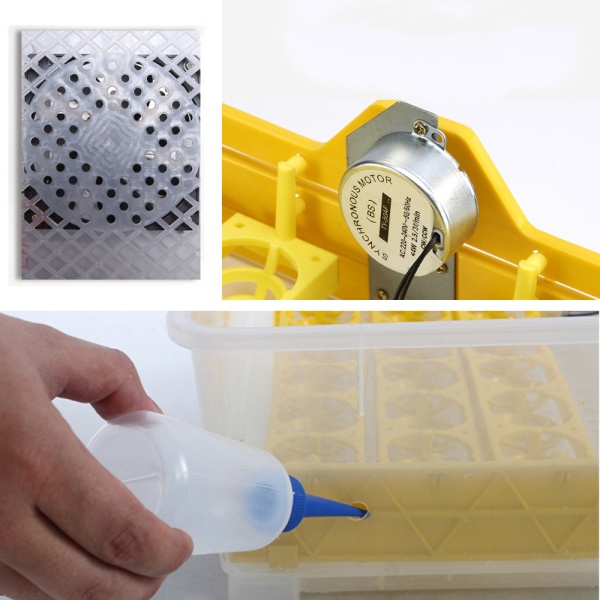 Инкубатор HHD 56 автоматический 220В/12В от сети и аккумулятора на 56 яиц