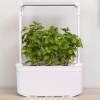Гидропонная установка HobbyFarm Mini DQ6200-LB-6, домашний умный смарт сад, 6 ячеек, с фитолампой