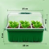 Мини парник HobbyFarm, 6 ячеек, для рассады, 10 шт.