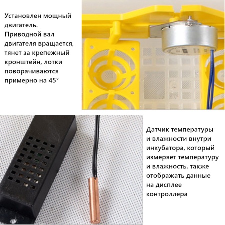 Инкубатор HHD 56 автоматический 220В/12В от сети и аккумулятора на 56 яиц​