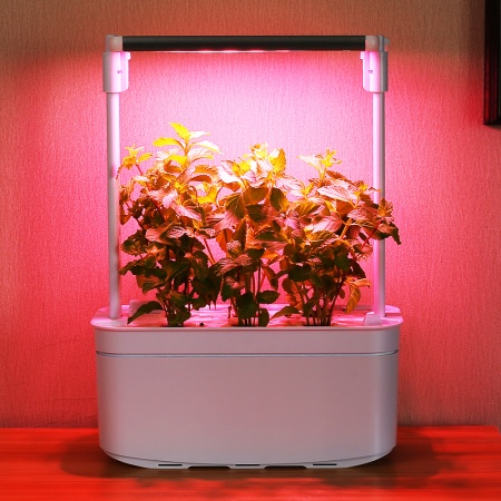 Гидропонная установка HobbyFarm Mini DQ6200-LB-6, домашний умный смарт сад, 6 ячеек, с фитолампой