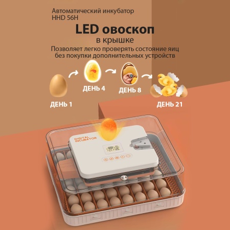 Инкубатор HHD 56H автоматический с контролем влажности и овоскопом на 220В/12В от сети и аккумулятора на 56 яиц​