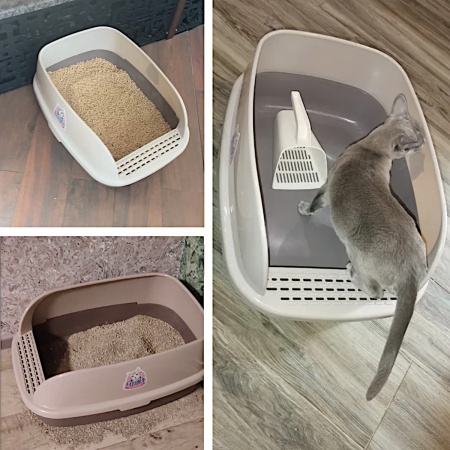 Лоток для кошек XL с совком Catidea 63х45х25 см, коричневый