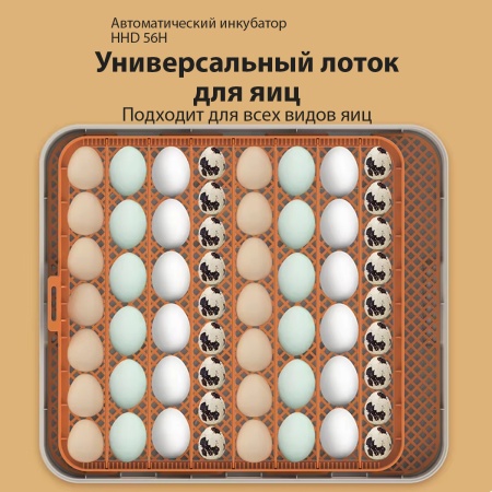 Инкубатор HHD 56H автоматический с контролем влажности и овоскопом на 220В/12В от сети и аккумулятора на 56 яиц​