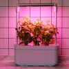 Гидропонная установка HobbyFarm Mini DQ6200-LB-6, домашний умный смарт сад, 6 ячеек, с фитолампой