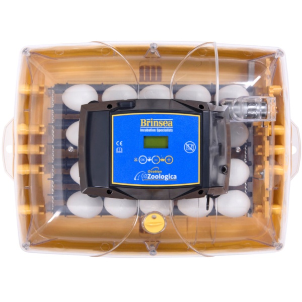 Инкубатор Brinsea Ovation 28 Zoologica