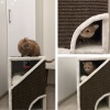 Когтеточка-домик Pet Choice, 40х35х60 см, коричневый, с подушкой