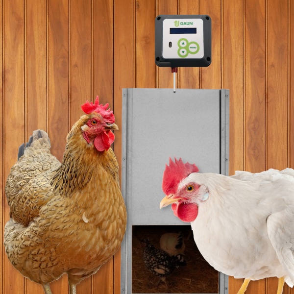 Дверь курятника для автоматического открывателя Gaun