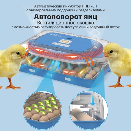 Инкубатор HHD 70H автоматический на 70 яиц, с контролем влажности и овоскопом на 220В/12В от сети и аккумулятора​