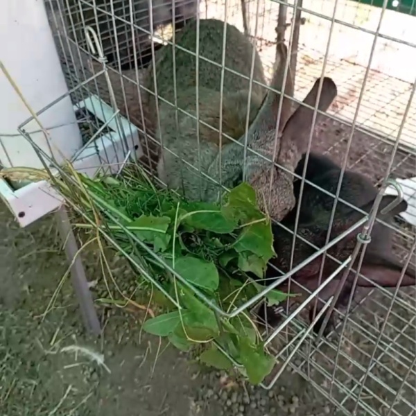 Кормушка для сена, вертикальная загрузка 30 см, комплект 5 шт.