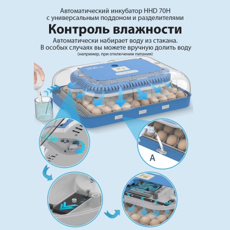 Инкубатор HHD 70H автоматический на 70 яиц, с контролем влажности и овоскопом на 220В/12В от сети и аккумулятора​