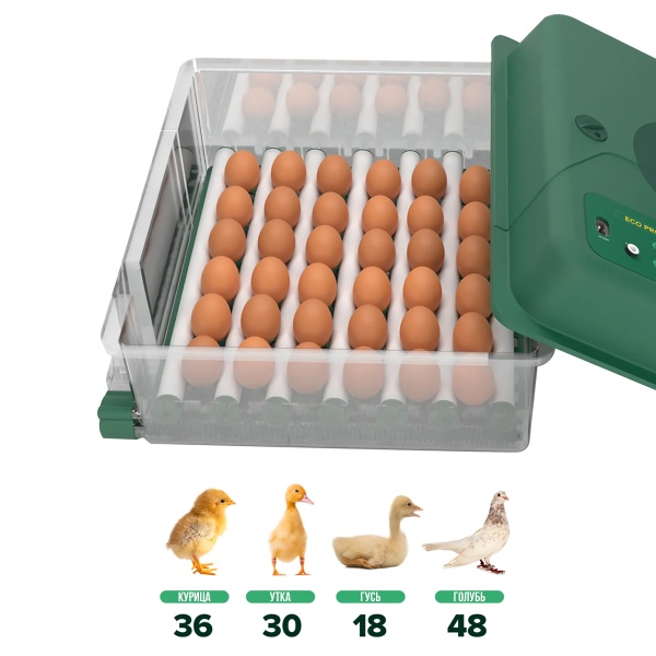 Инкубатор для яиц автоматический Des Champs ECO PROFI C-36 от сети и аккумулятора с роликовым лотком и овоскопом на 36 яиц