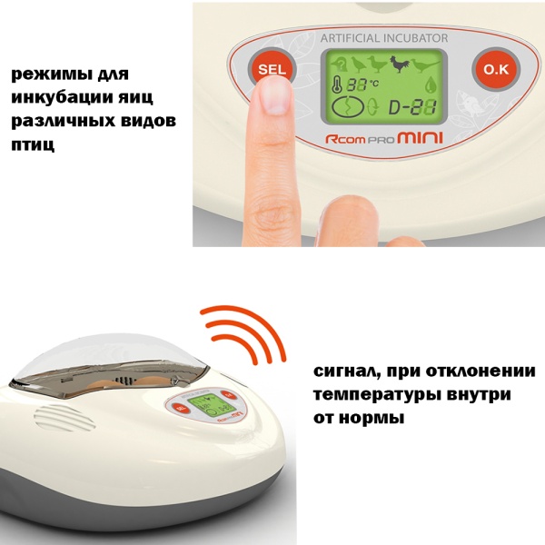 Инкубатор Rcom Mini автоматический для яиц с овоскопом
