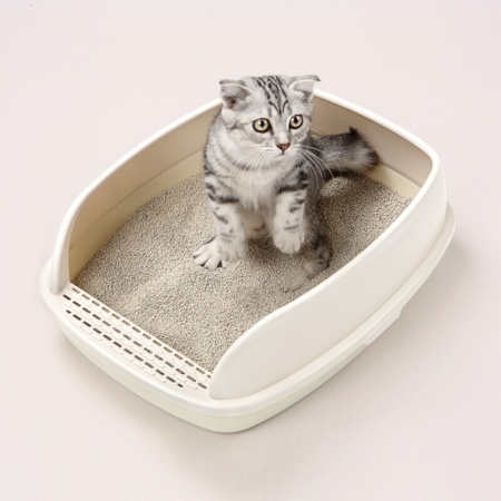 Лоток для кошек с совком Catidea 46х36х15 см, кремовый​