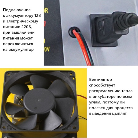Инкубатор HHD 56 автоматический 220В/12В от сети и аккумулятора на 56 яиц​