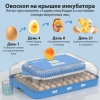 Инкубатор HHD 70H автоматический на 70 яиц, с контролем влажности и овоскопом на 220В/12В от сети и аккумулятора​