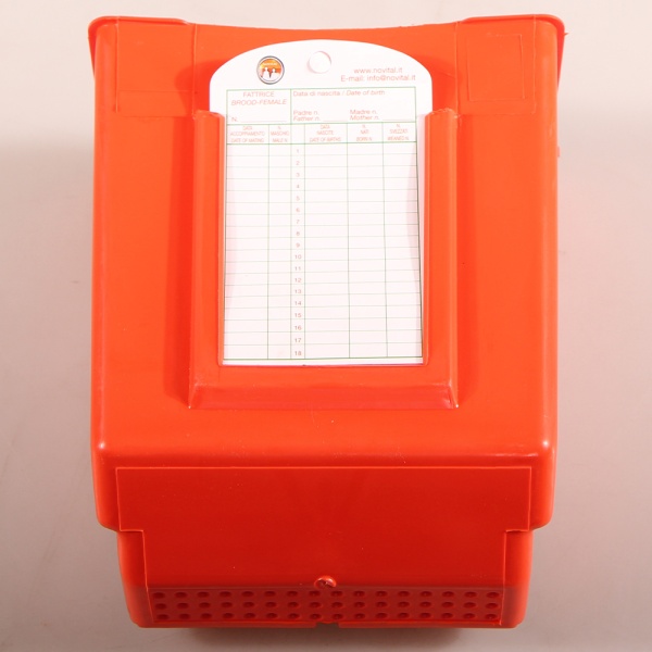 Кормушка бункерная для кроликов 2 секции с держателем для учетной карточки, пластик без крышки